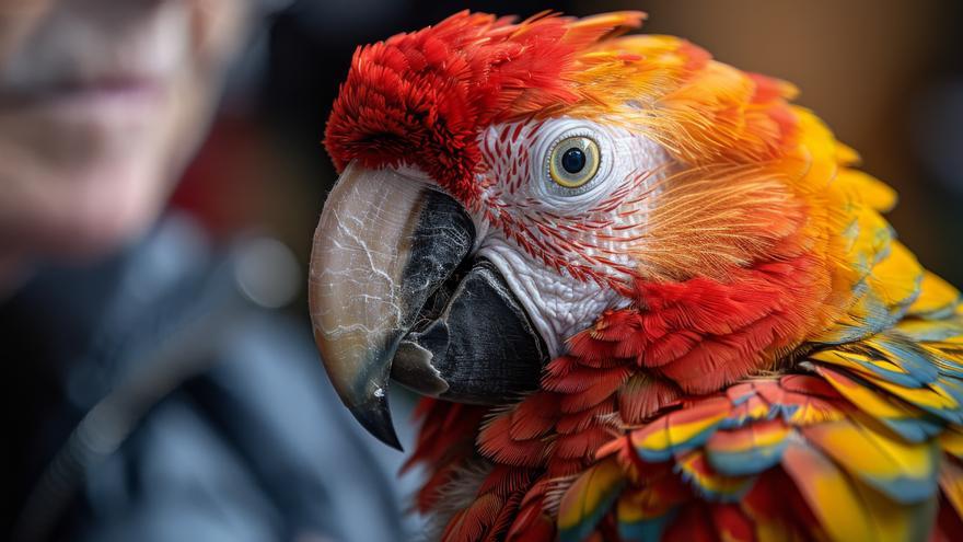 Localizan más de 500 aves exóticas protegidas en el interior de una vivienda en Cádiz
