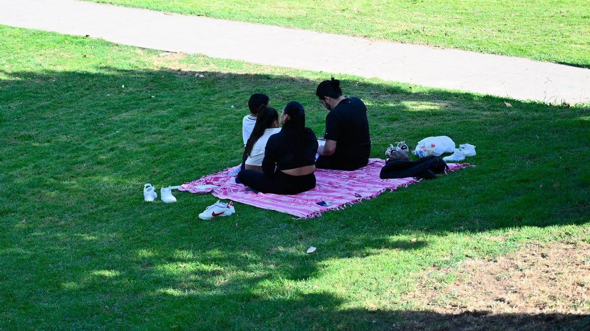 Una familia disfruta de la tarde en una campa
