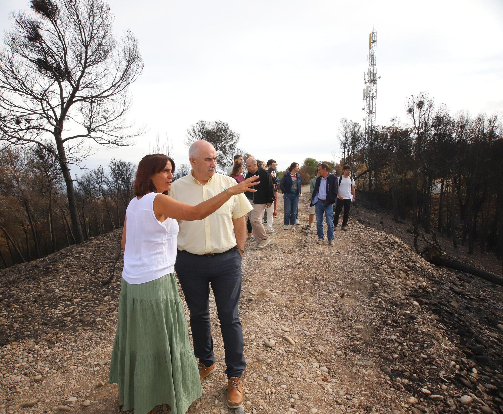 Así han quedado los montes afectados por el incendio de Carcastillo