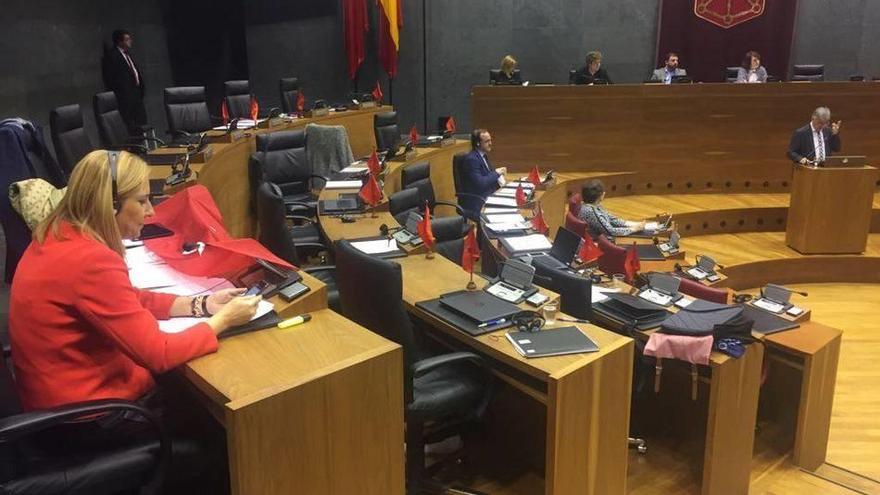 Beltrán en primer término junto a la bandera de Navarra exhibida en los escaños de UPN-PP.
