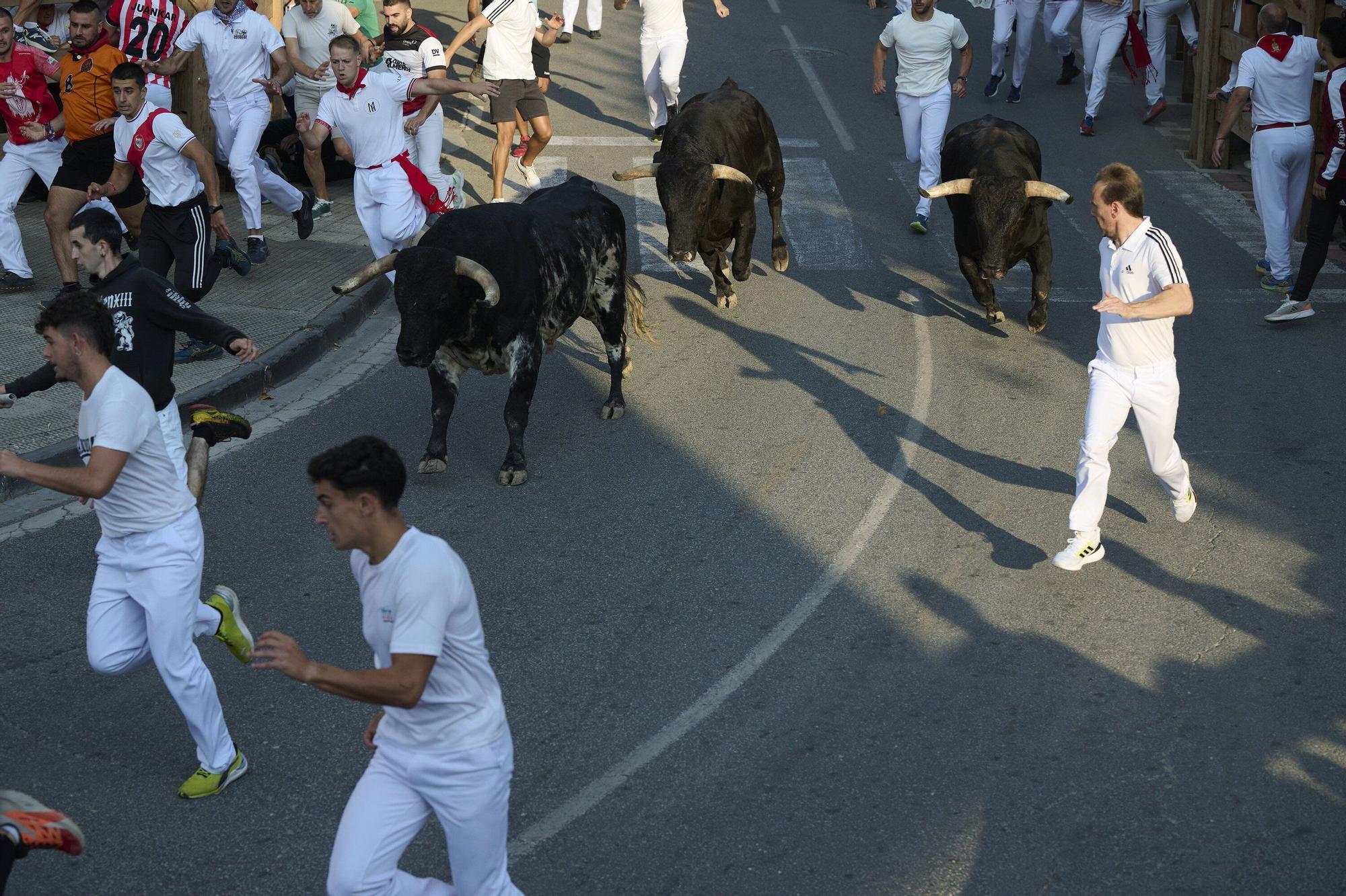 Fotos del primer encierro de fiestas de Tafalla