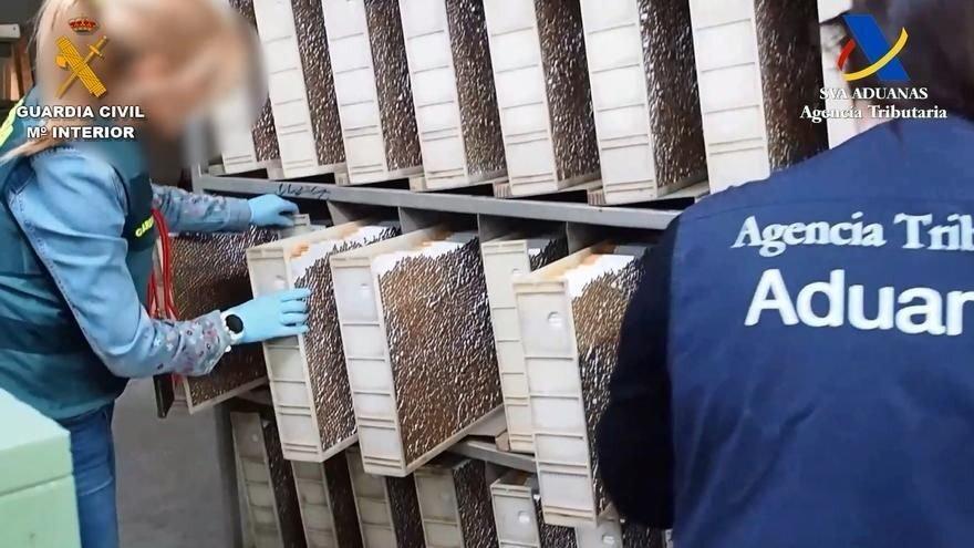 Europa frente al avance del mercado negro del tabaco
