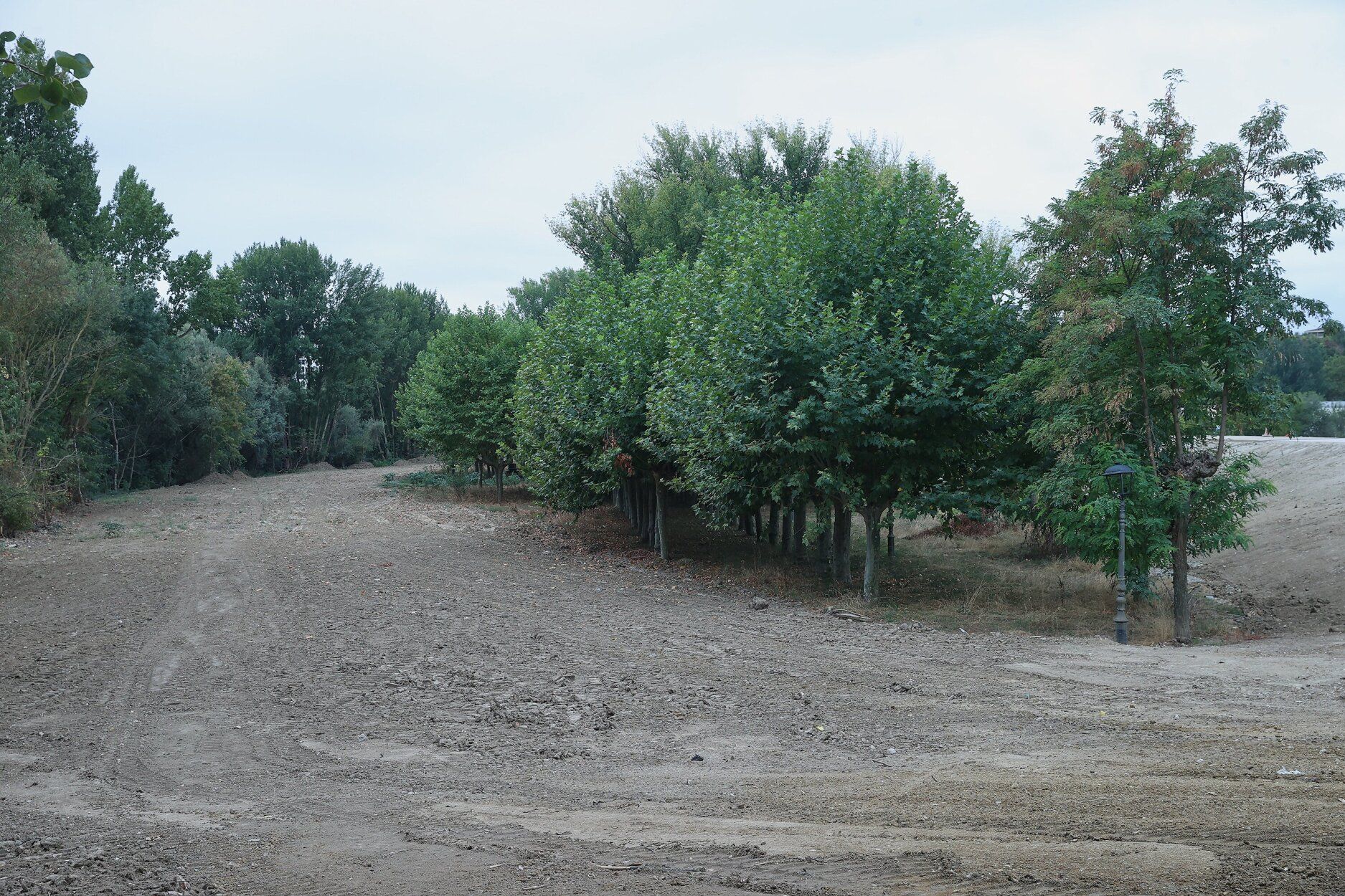 Fotos de la visita a las obras del parque de la Nopalera de Burlada
