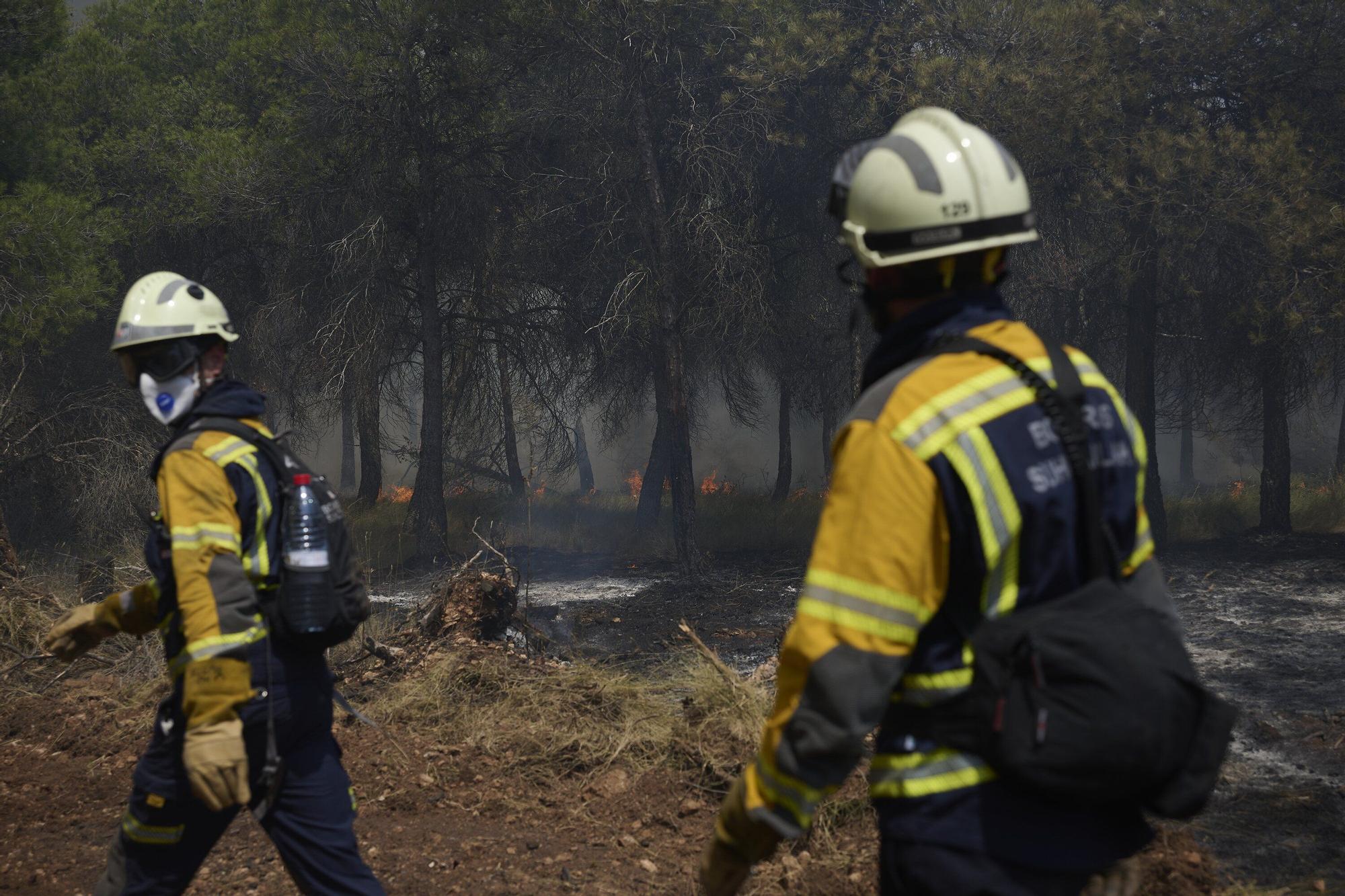 Fotos del incendio forestal cerca de Carcastillo