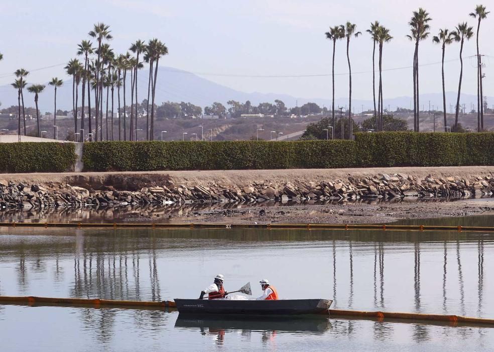 Vertido de crudo en las costas de California