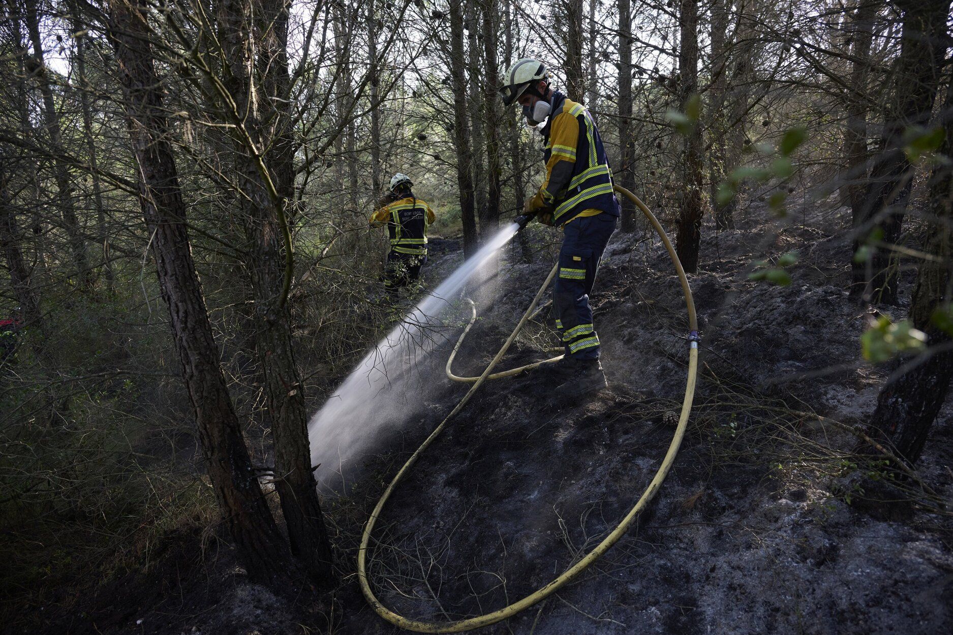 Imágenes de la zona afectada por el incendio en Enériz