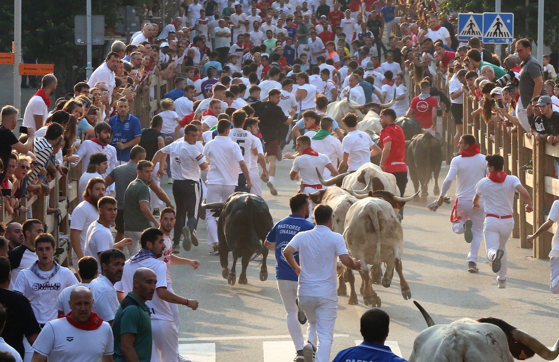 Fotos del segundo encierro de fiestas de Tafalla 2025