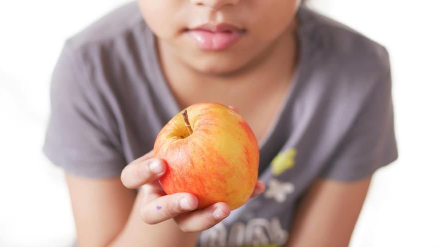 Educación extiende las ayudas de comedor al alumnado del primer ciclo de Infantil en centros públicos