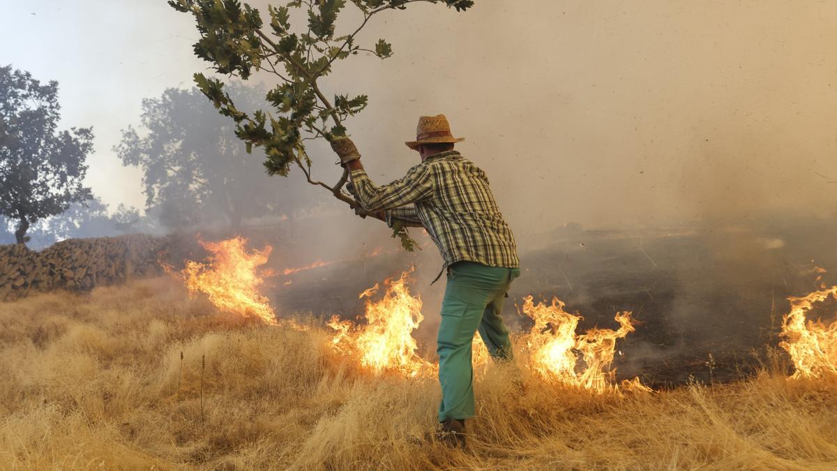 Un voluntario trabaja en la extinción de un incendio forestal este viernes, en las proximidades de Cipérez (Salamanca).