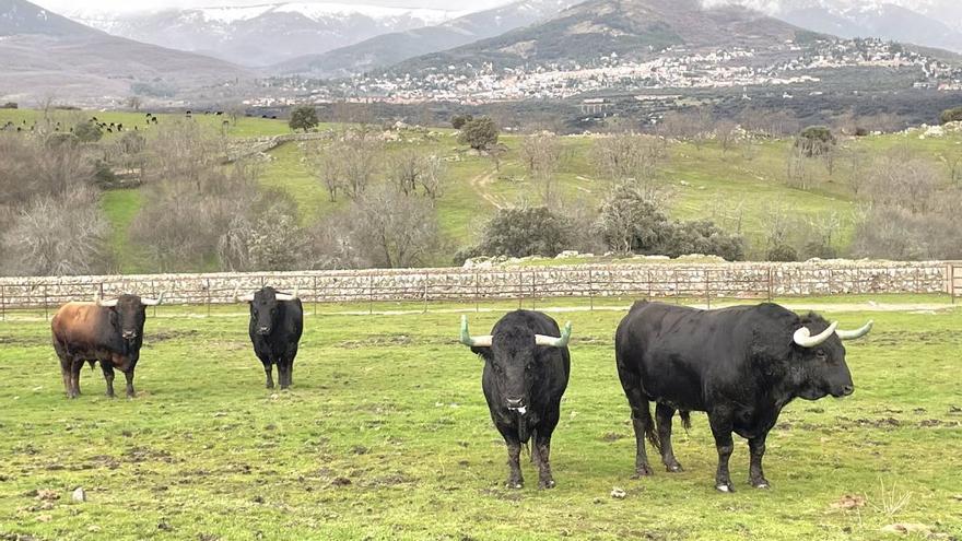 Victoriano del Río: la humildad del gran líder