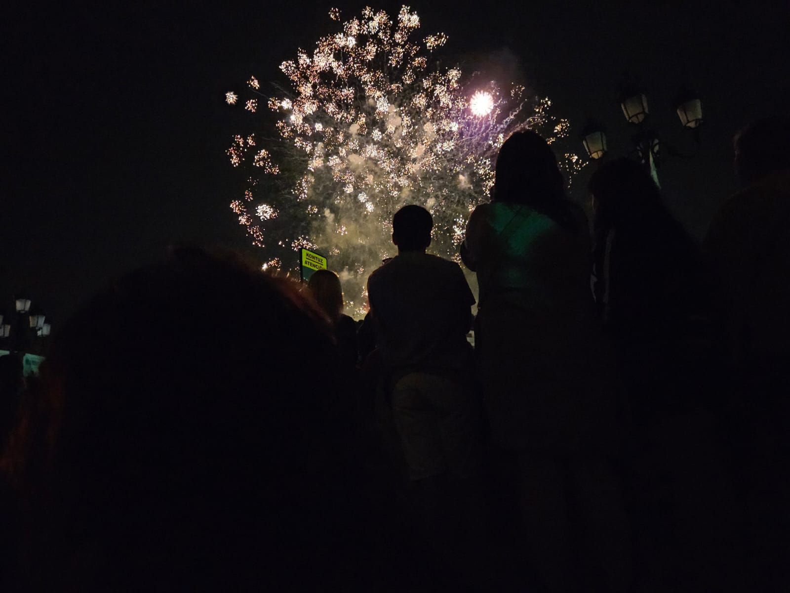 Fuegos artificiales de Artefogo Pirotecnia iluminan la noche de Aste Nagusia