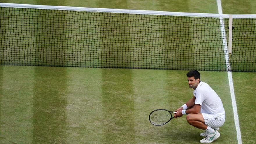 Djokovic podrá volver a jugar en Wimbledon.