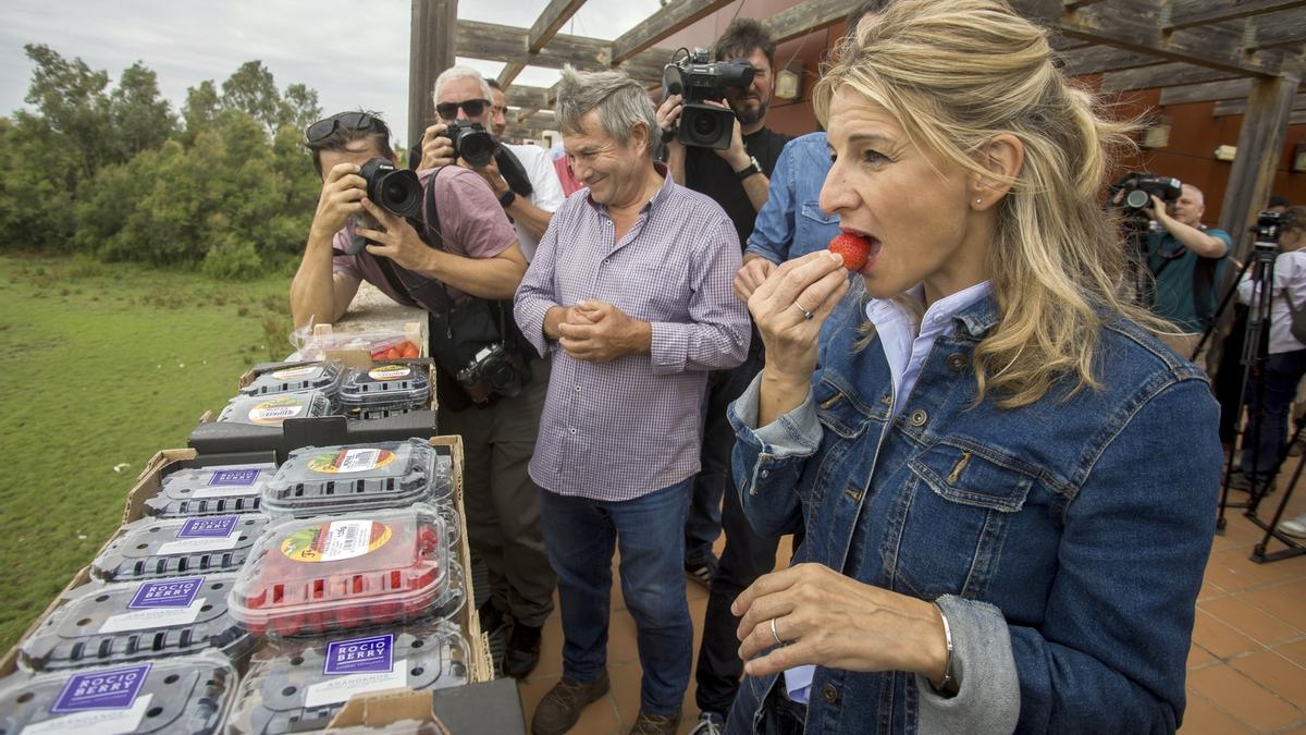 Yolanda Díaz come fresas mientras el Supremo da la puntilla a Irene Montero.
