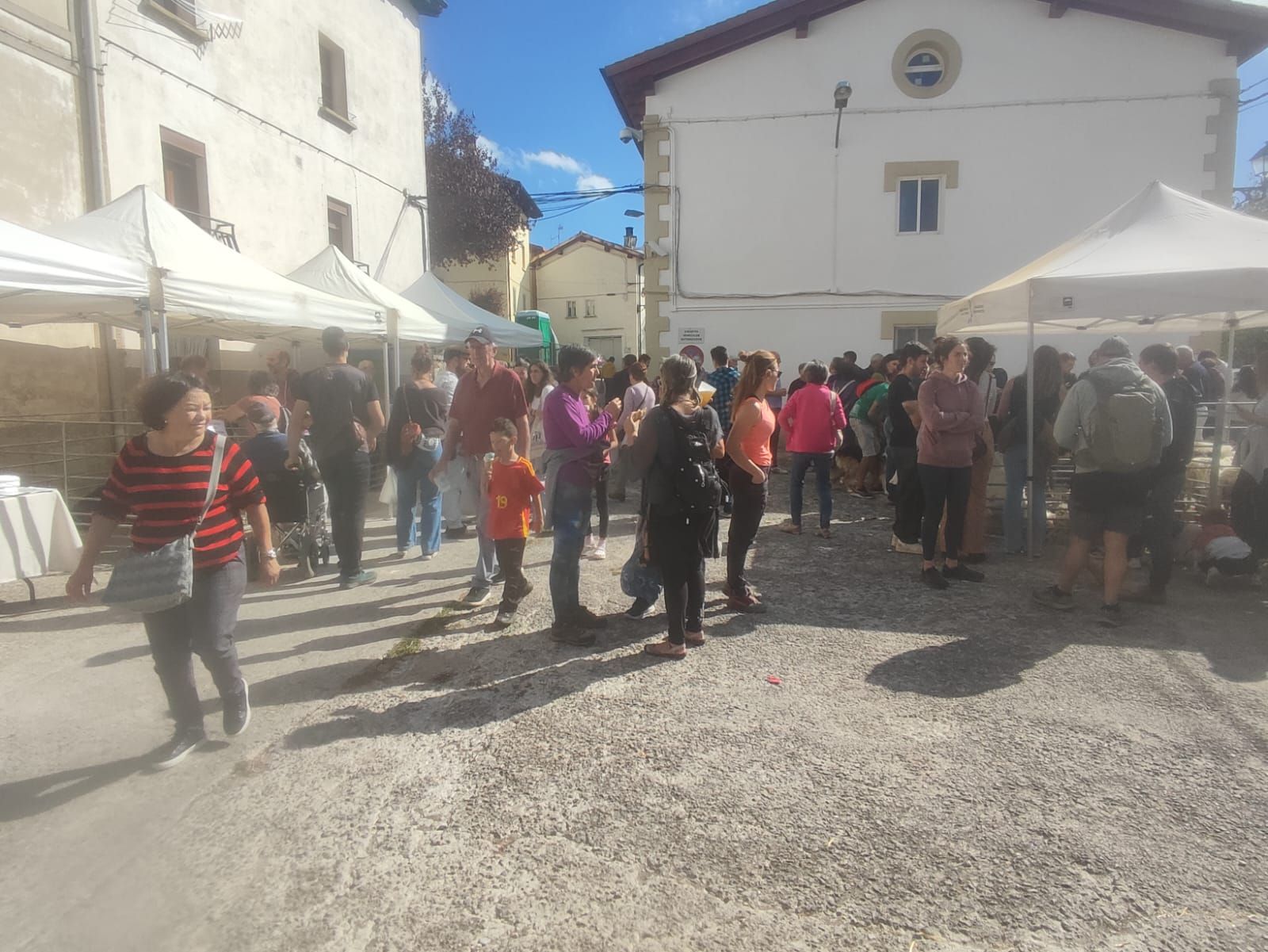 Fotos del Día del pastor en Améscoa