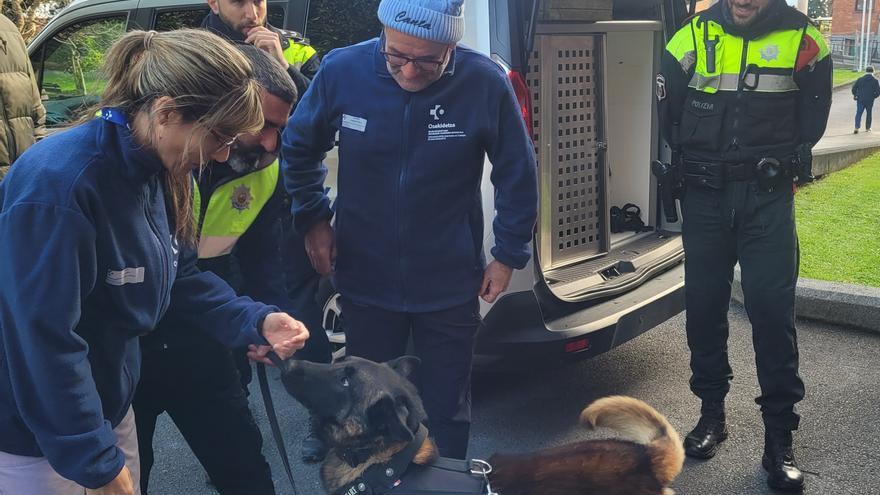 Sonrisas en Basurto con la visita de agentes de la Policía Municipal de Bilbao