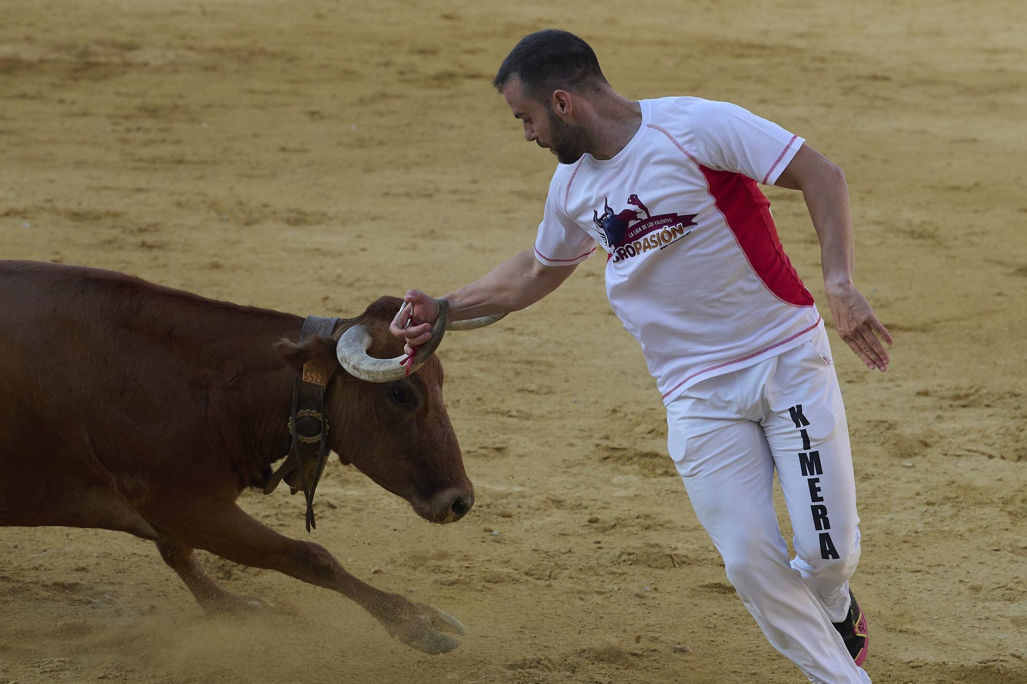 Concurso de recortadores con anillas