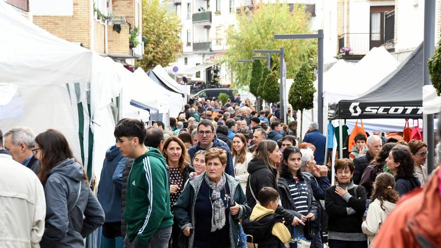 Estudio sociolingüístico en Baztan-Bidasoa con 1.500 encuestas telefónicas
