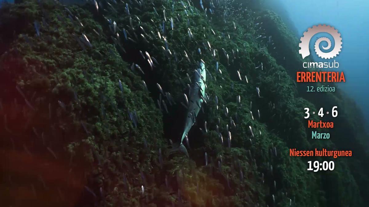 CIMASUB 2026 Errenteria