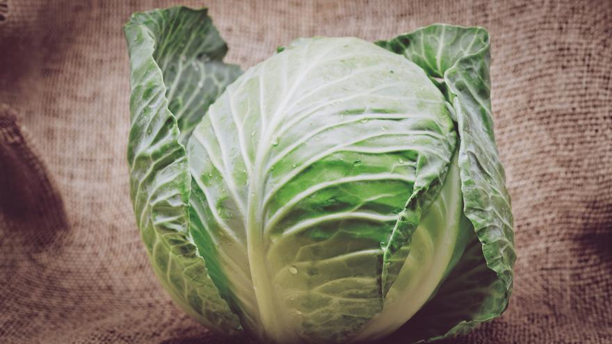 Cómo darle un giro a la berza cocida: recetas creativas y tradicionales