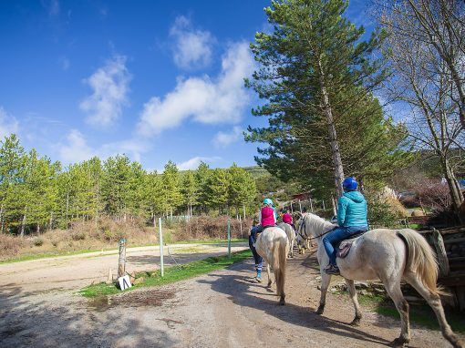 Paseos a caballo en Irati