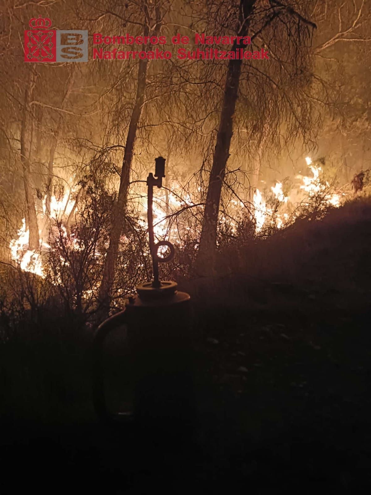 Fotos del incendio forestal cerca de Carcastillo