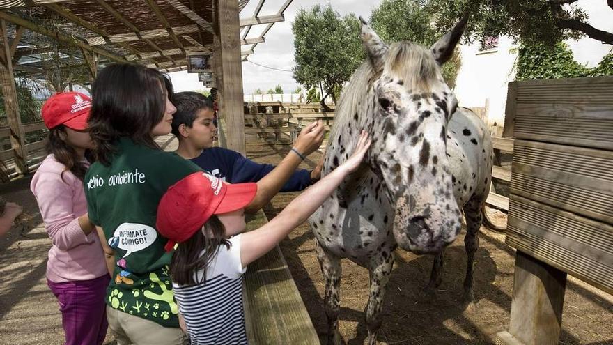 Regresan los campamentos de Sendaviva