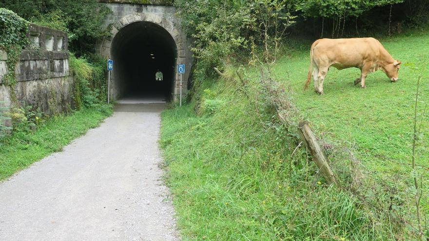 El bidegorri del Urola acogerá una de las medias maratones más rápidas del mundo