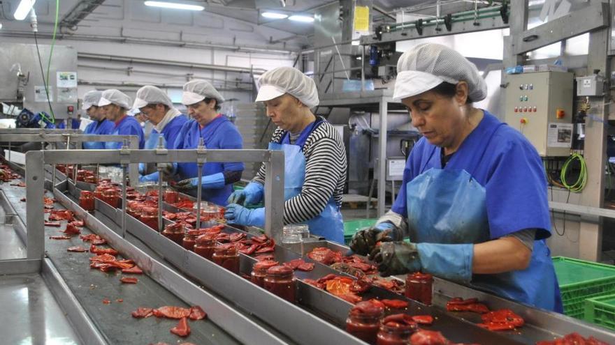 Un grupo de mujeres trabajando en la línea de pimiento de Conservas Pedro Luis.