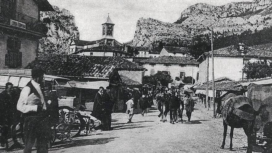 Memoria gráfica de Sakana