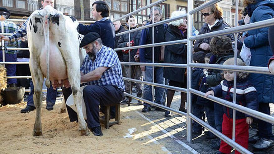 Un establo en medio de El Arenal