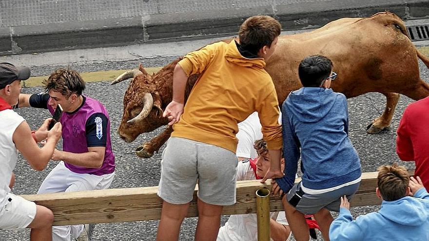 Demasiados huecos en las carreras de los novillos de Macua en Estella