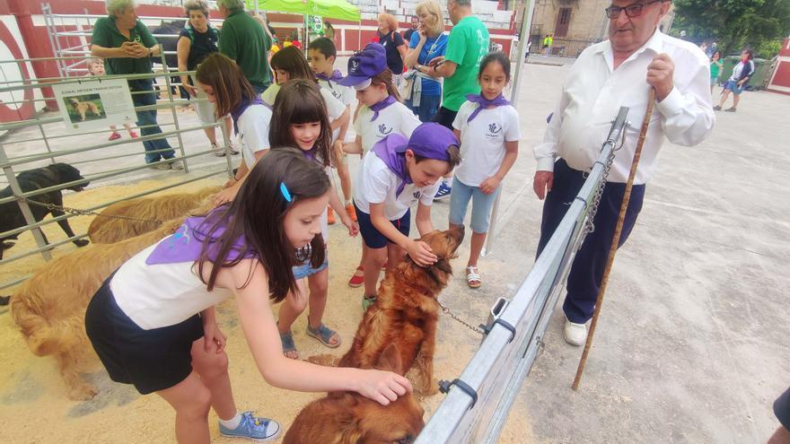 Las Eskola Txikiak de Bizkaia se reúnen en Turtzioz