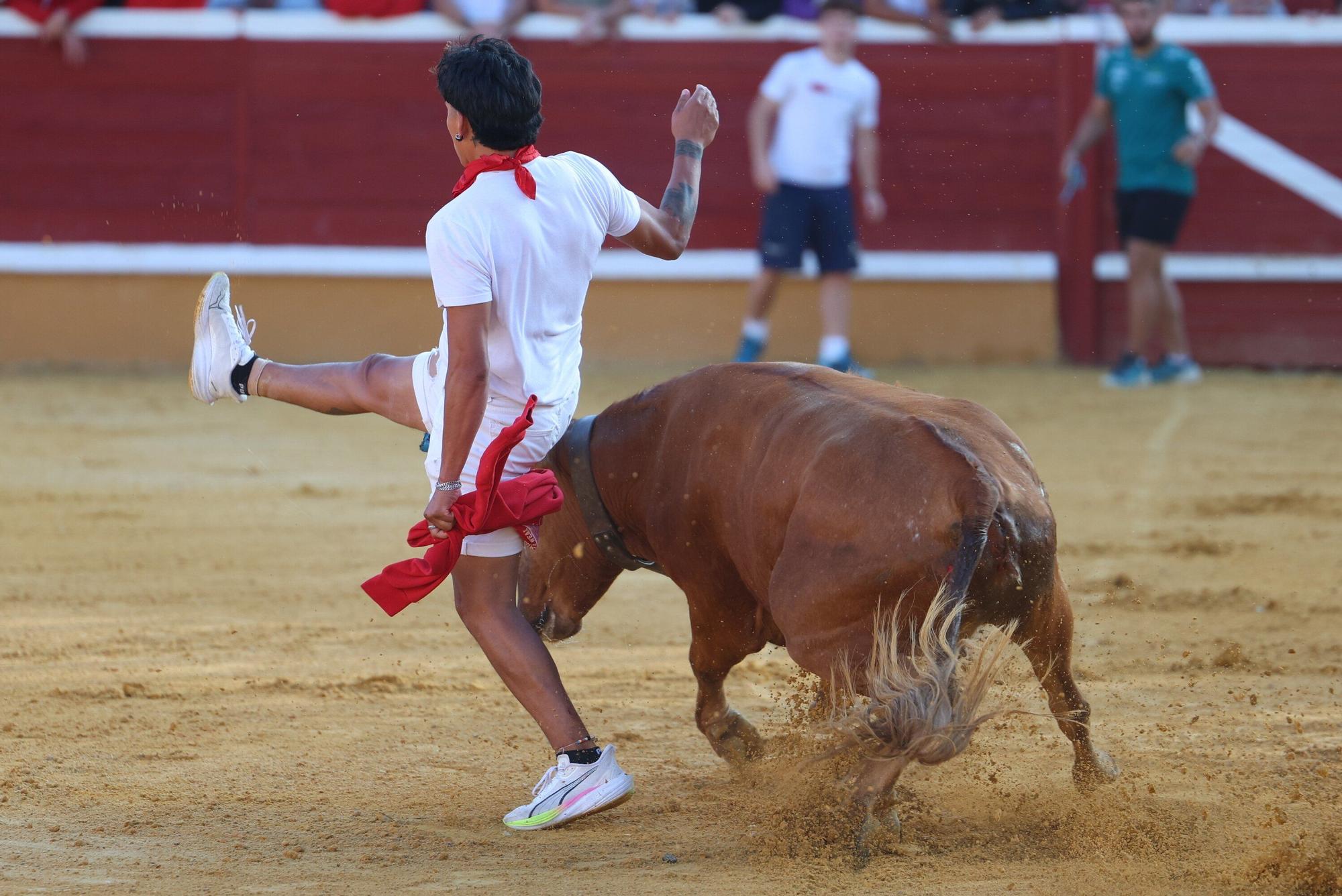 Suelta de vaquillas tras el tercer encierro de Tudela