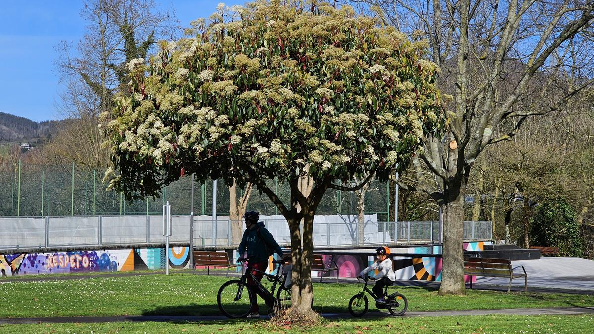 2026ko Aurrekontu Parte-hartzaileen testuinguruan jasotako 101 proposamenak aztertuko ditu Durangok.