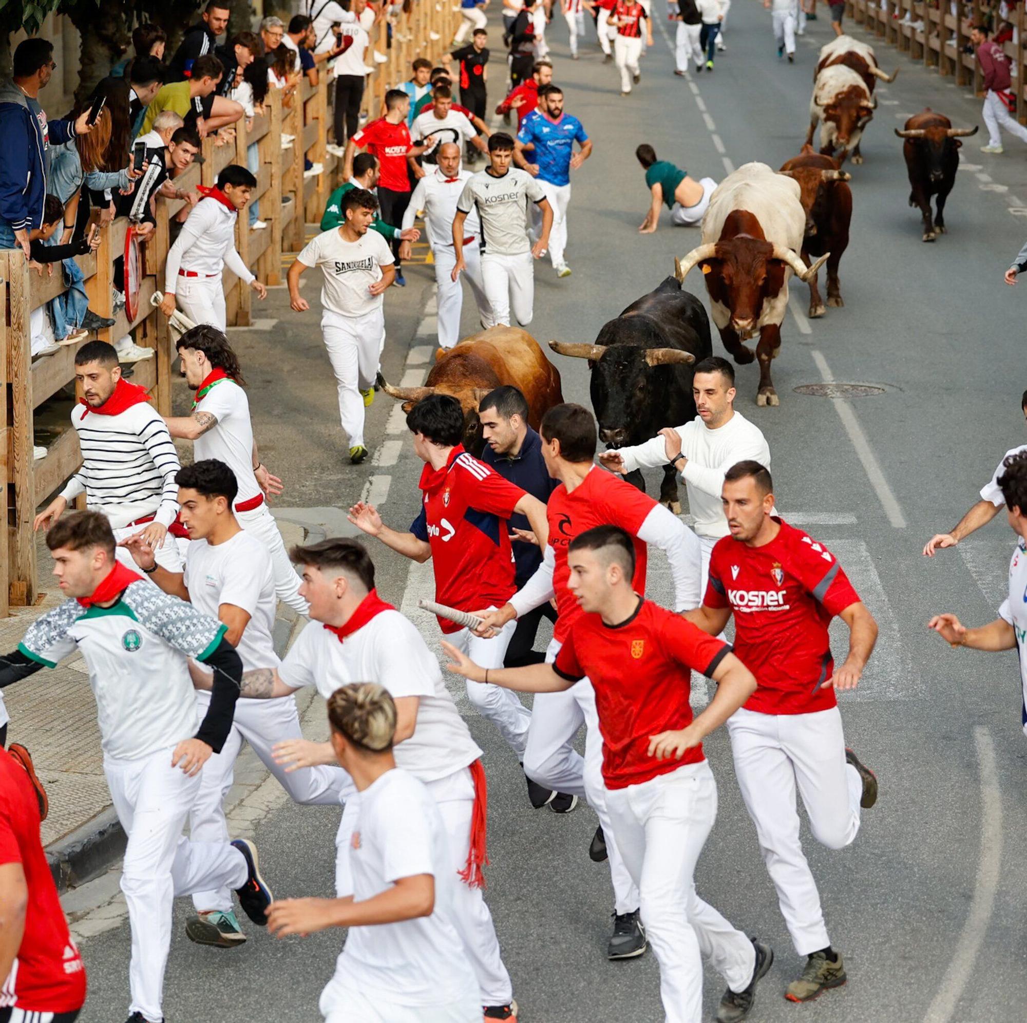 Fotos del quinto encierro de las fiestas de Tafalla 2025