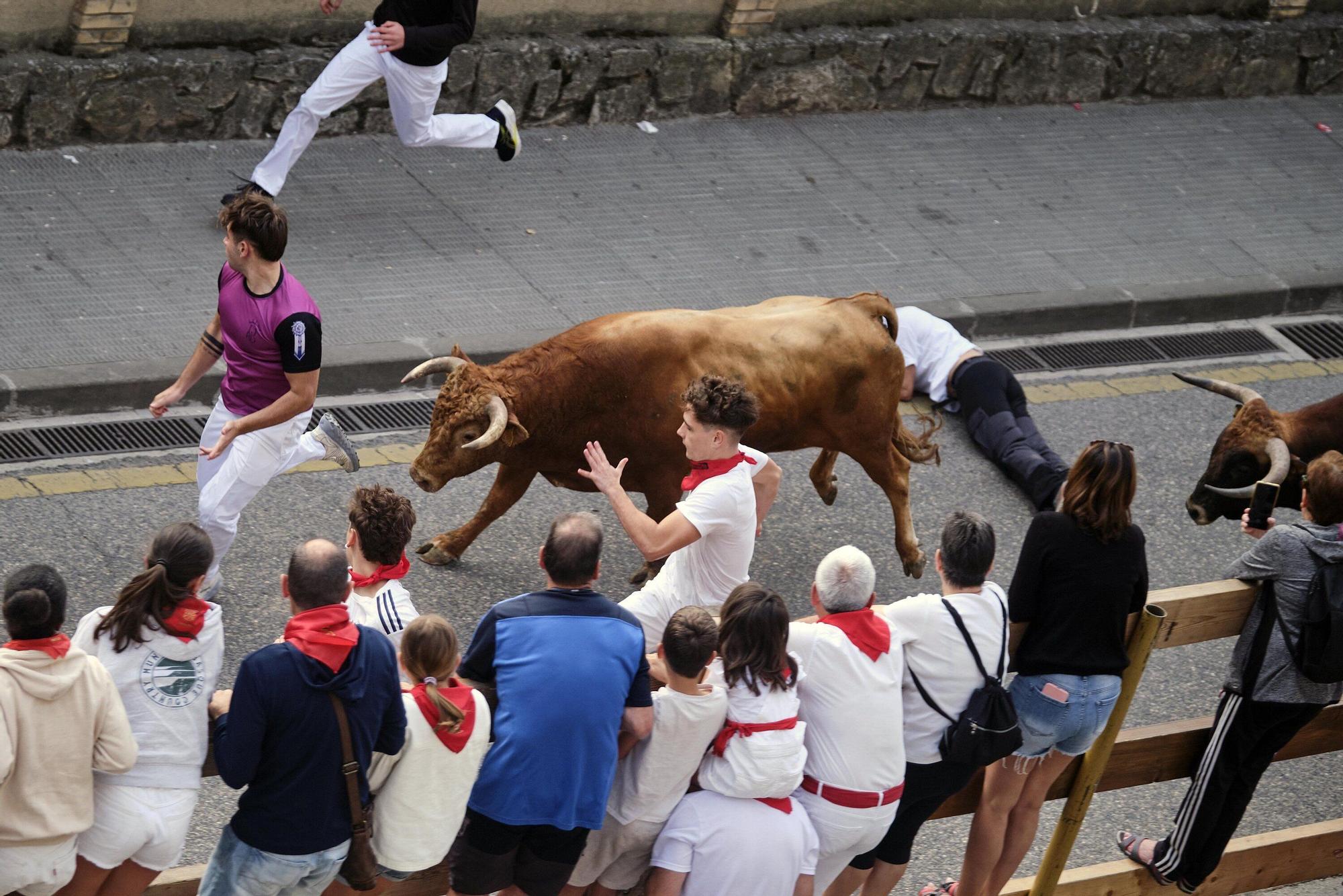 Tercer encierro de Estella