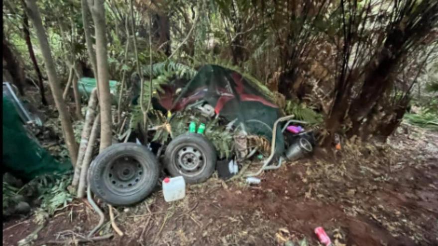Muere Tom Phillips, el fugitivo neozelandés que vivió casi cuatro años en el bosque con sus hijos