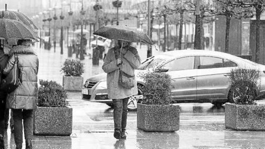 Jardineras para proteger las calles por Navidad