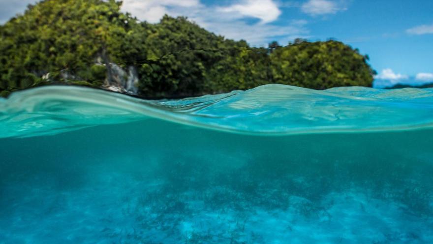 Expertos prevén la posibilidad de formación del fenómeno de El Niño a fin de año
