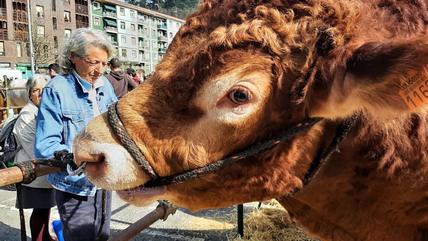 Murgia recibe este domingo la XXXI Feria del Valle de Zuia