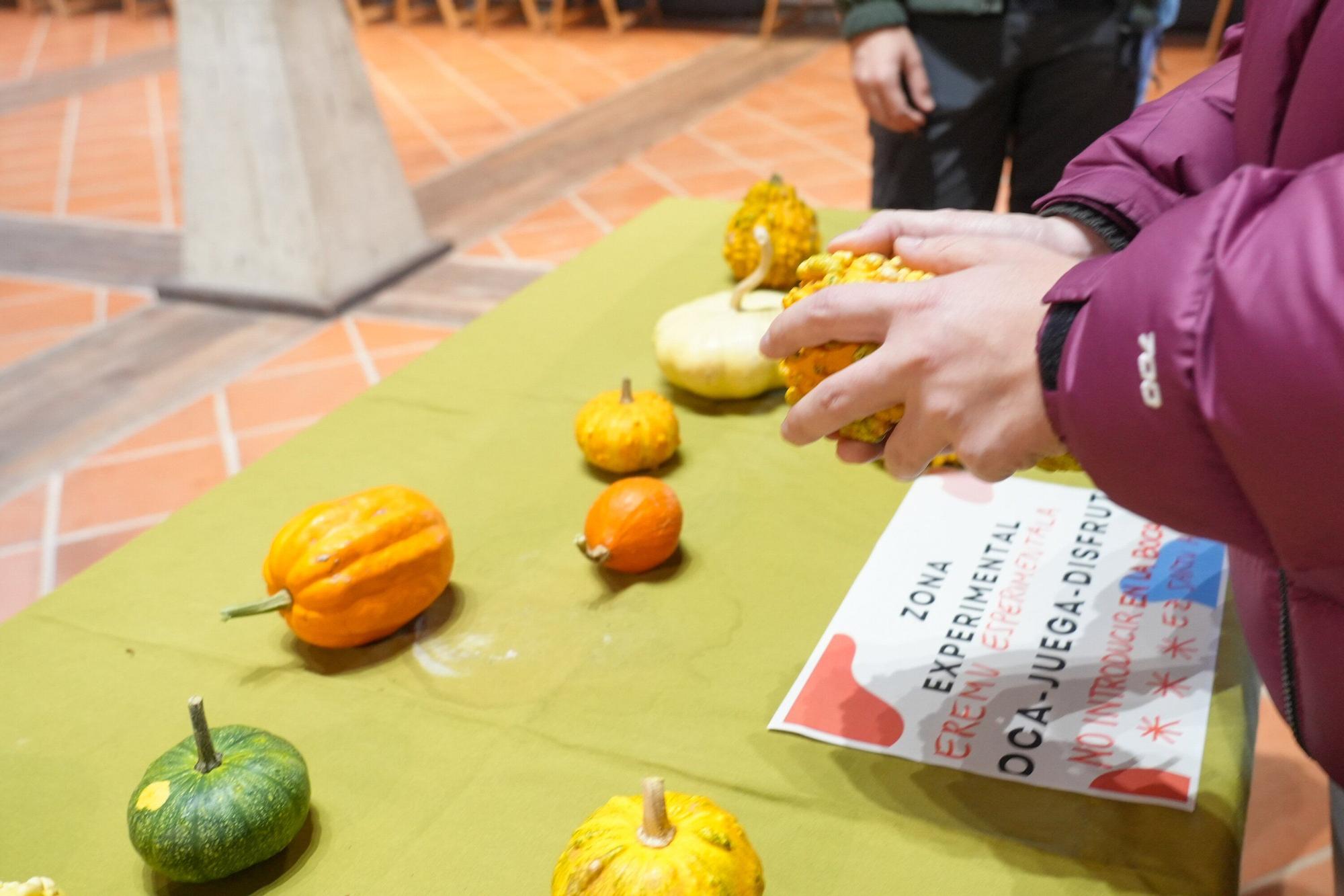 En imágenes: Exposición de calabazas en la Casa de la Dehesa