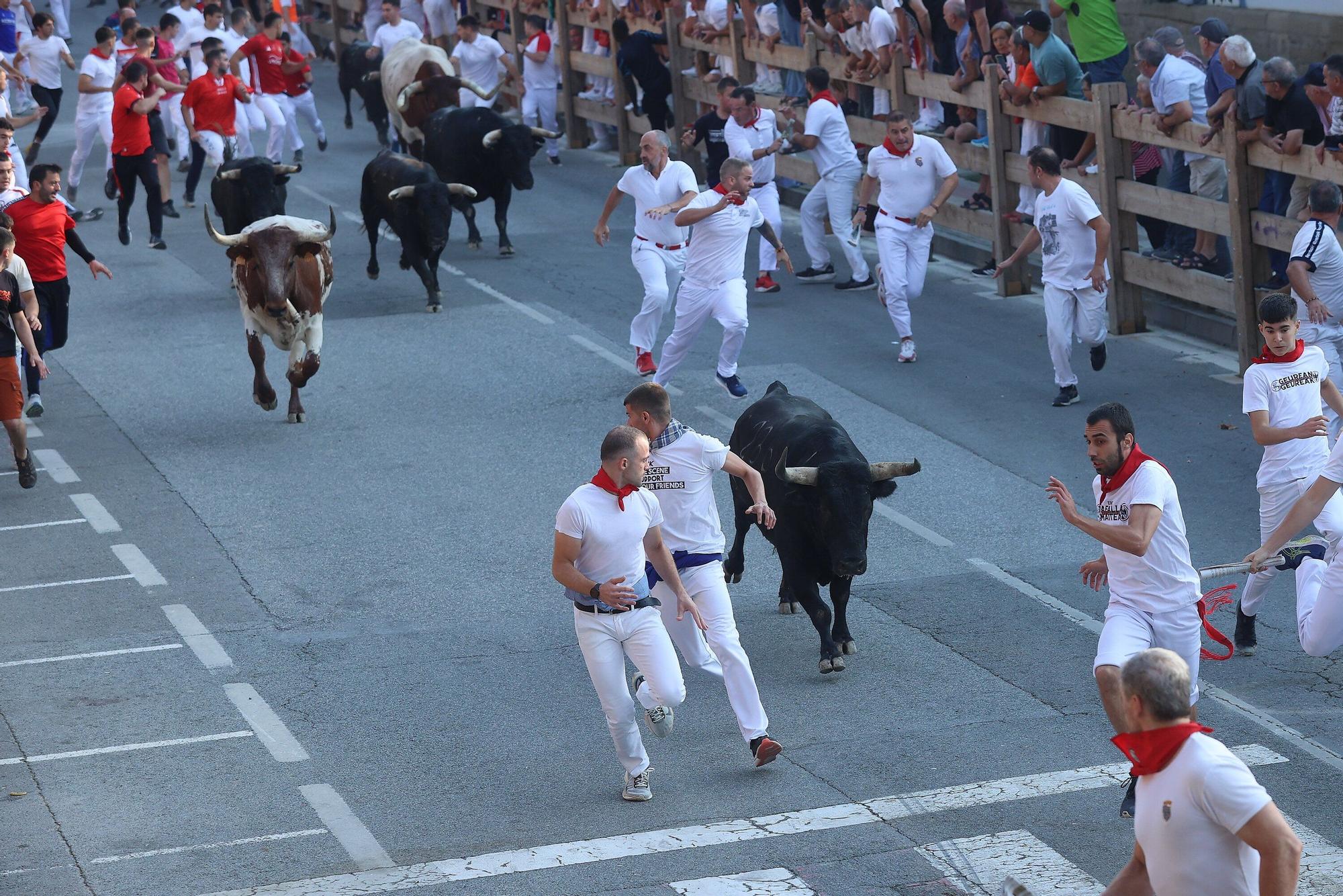 Fotos del segundo encierro de fiestas de Tafalla 2025