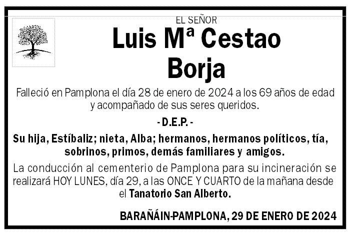Luis Mª Cestao Borja