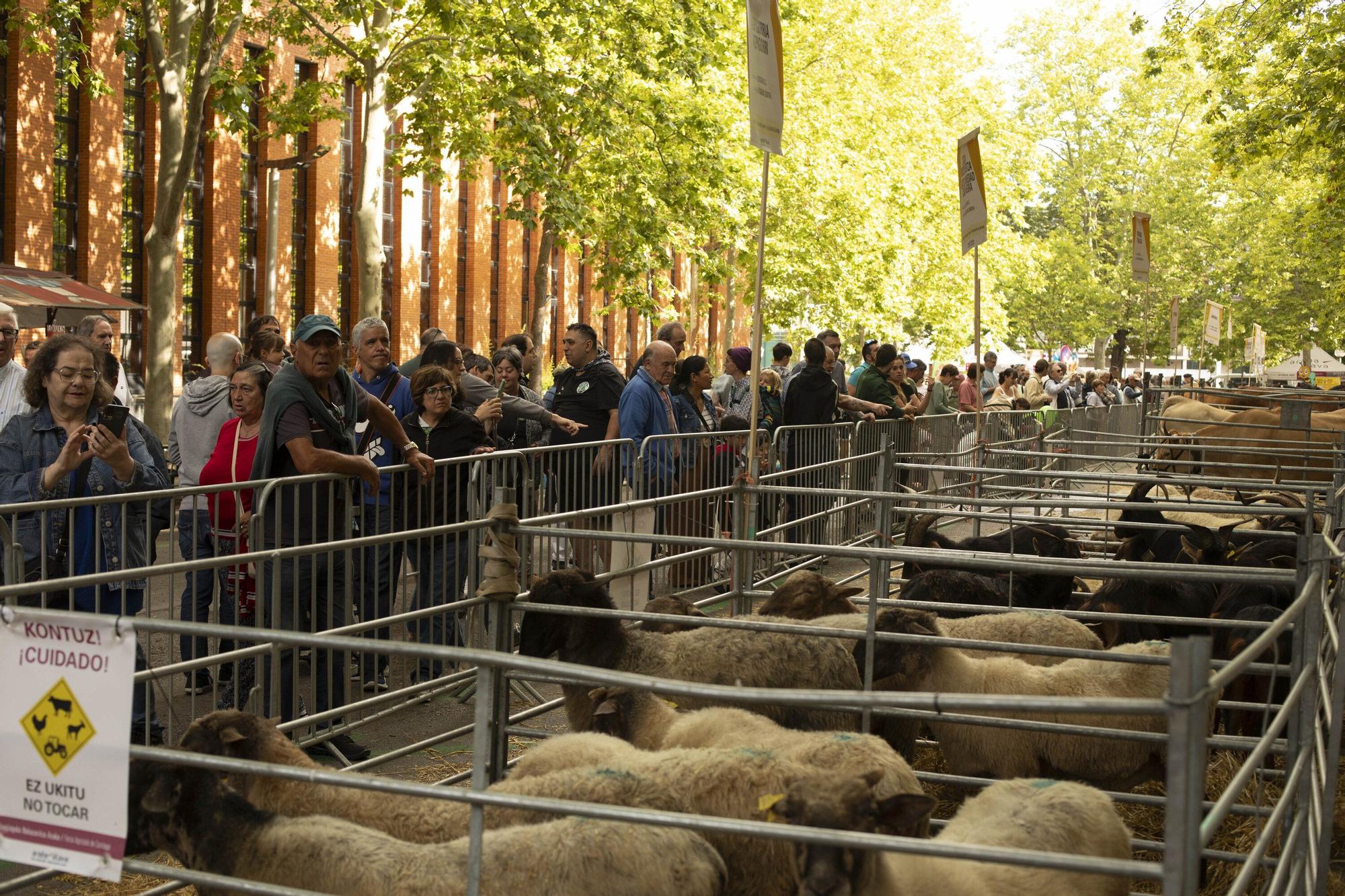 En imágenes: La Feria Agrícola de Santiago toma el Campus de Álava