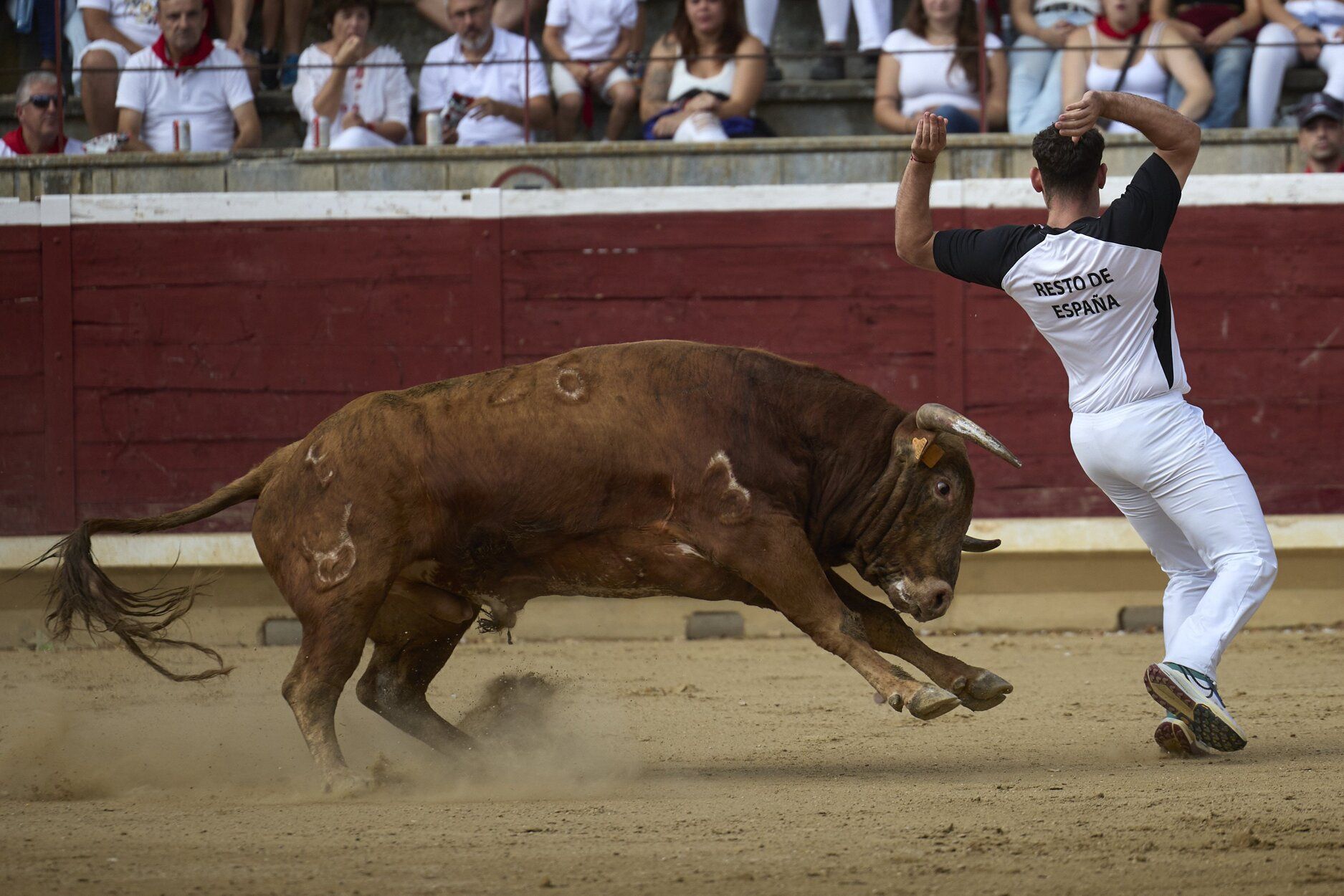 Fotos del concurso de recortadores de fiestas de Tafalla