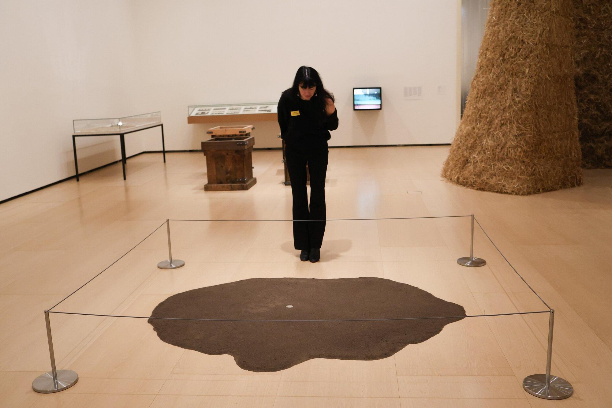 Arte y tierra, nueva exposición del Guggenheim