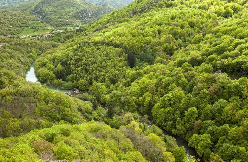 Panorámica de la frondosidad de la selva navarra, espacio verde de los mejor conservados de Europa.