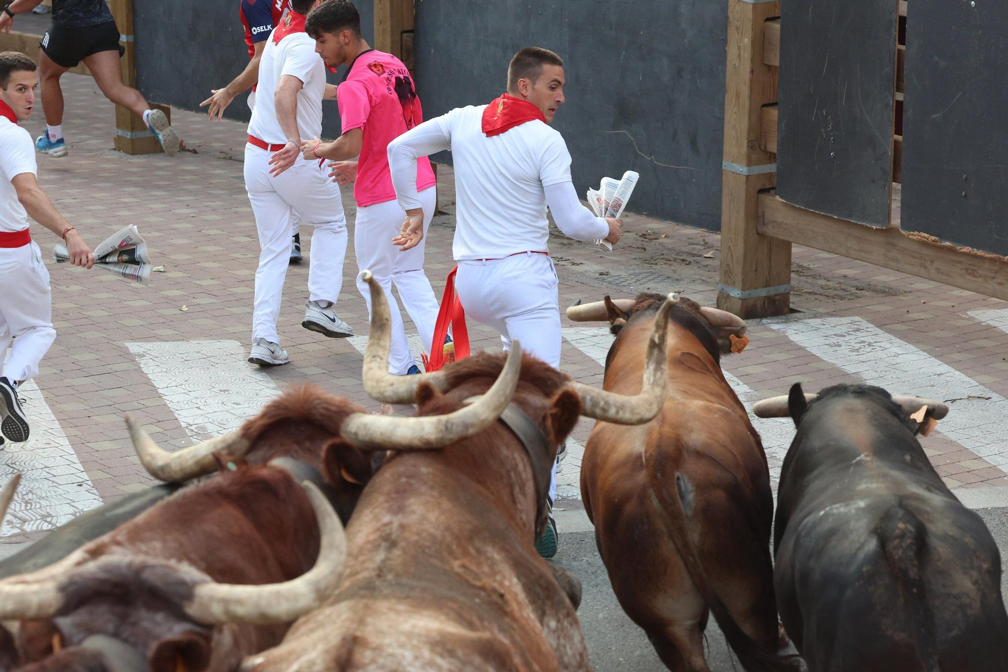 Fotos del primer encierro de las fiestas de Tudela 2025
