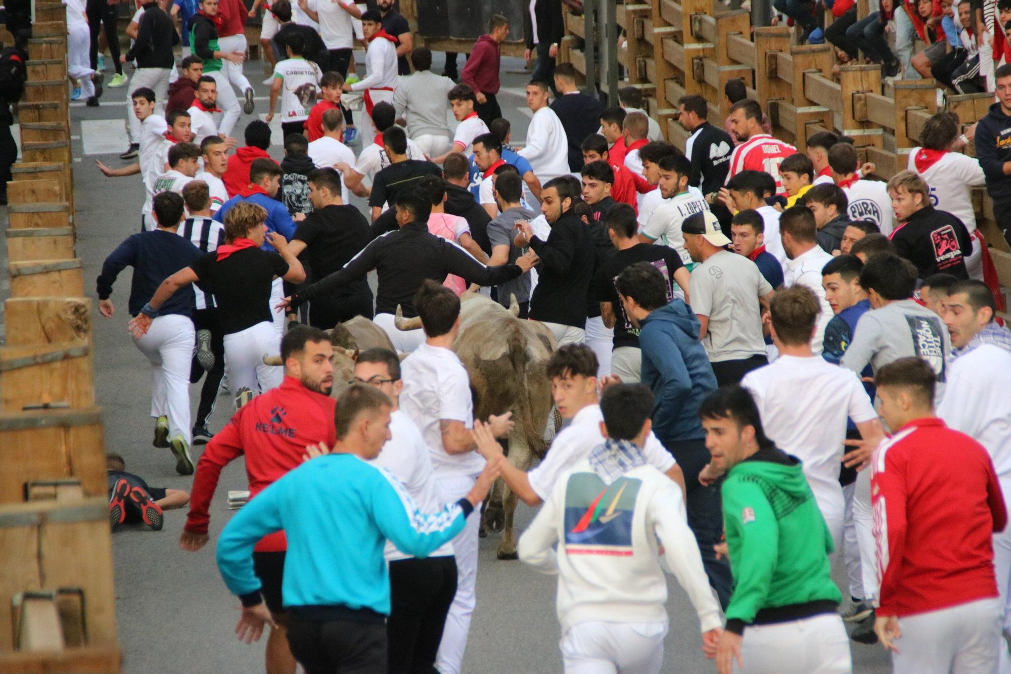 Fotos del sexto y último encierro de las fiestas de Tudela 2025