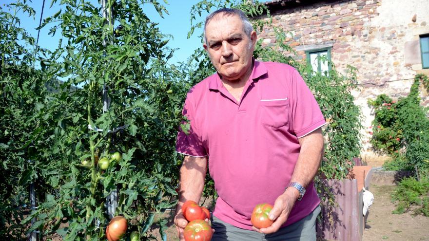 Doneztebe acogerá el ‘I Concurso de Tomate Antiguo’ el 31 de agosto